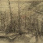 carita-savolainen-the-song-of-the-trees-drawing-21cm-x-30cm-2019