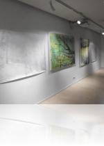 carita-savolainen-a-travers-le-regard-images